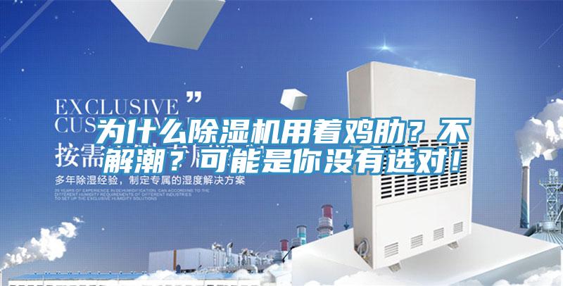 为什么免费看操逼软件用着鸡肋？不解潮？可能是你没有选对！