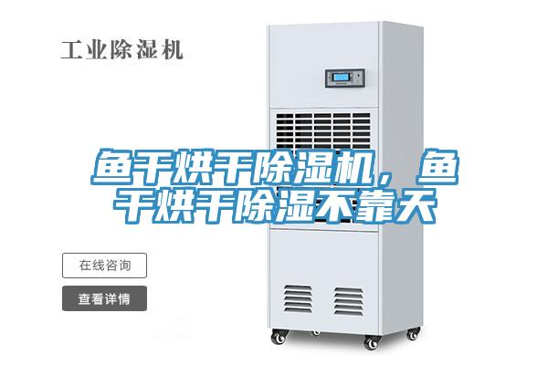 鱼干烘干免费看操逼软件，鱼干烘干除湿不靠天