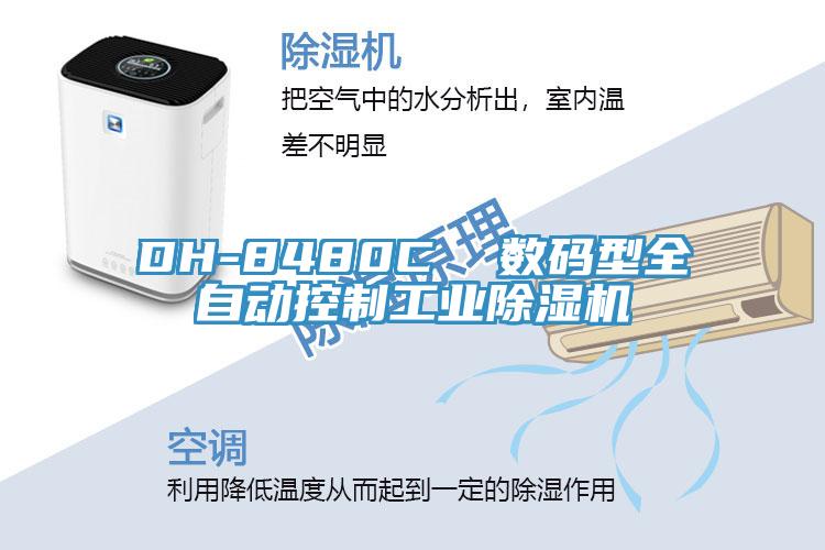DH-8480C  数码型全自动控制工业免费看操逼软件