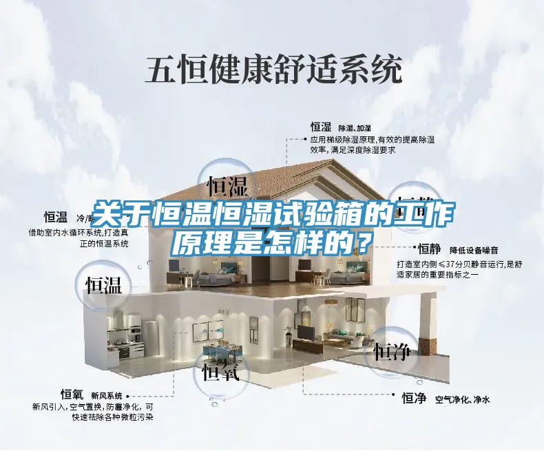 关于恒温恒湿试验箱的工作原理是怎样的？
