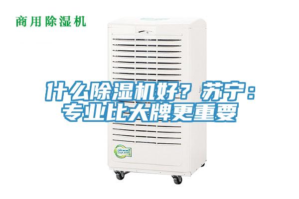 什么免费看操逼软件好？苏宁：专业比大牌更重要