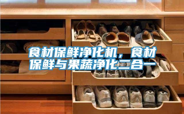 食材保鲜净化机，食材保鲜与果蔬净化二合一