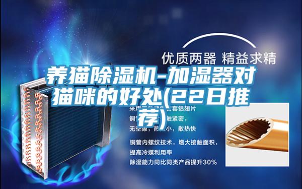 养猫免费看操逼软件-加湿器对猫咪的好处(22日推荐)
