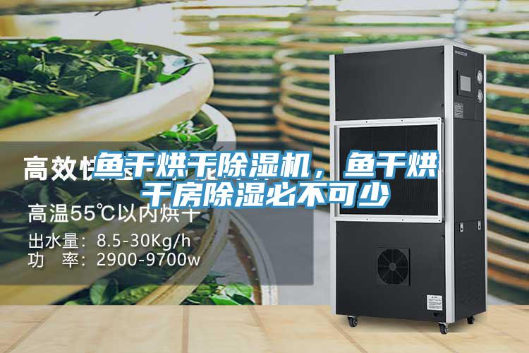 鱼干烘干免费看操逼软件，鱼干烘干房除湿必不可少