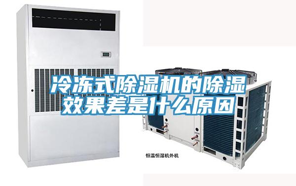 冷冻式免费看操逼软件的除湿效果差是什么原因