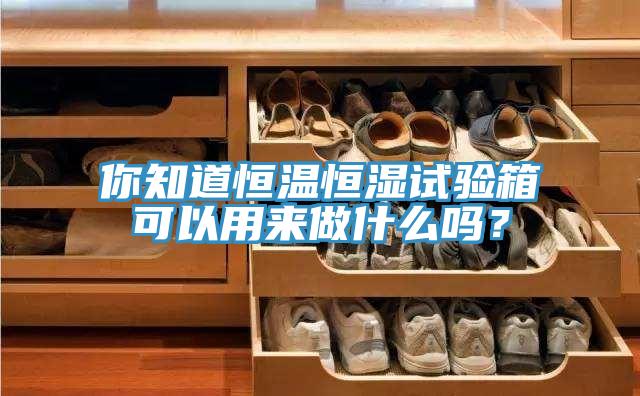 你知道恒温恒湿试验箱可以用来做什么吗？