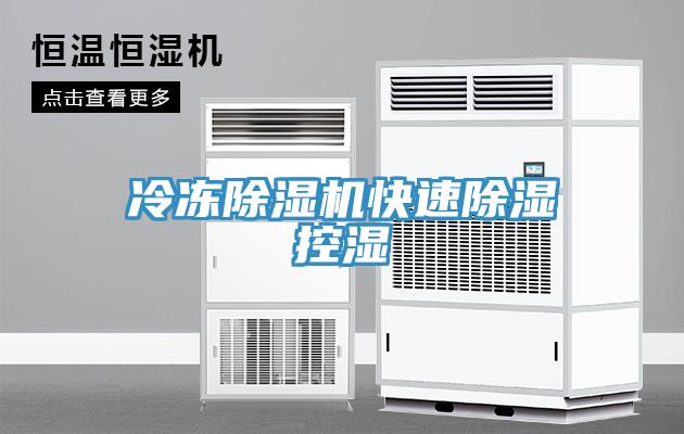 冷冻免费看操逼软件快速除湿控湿