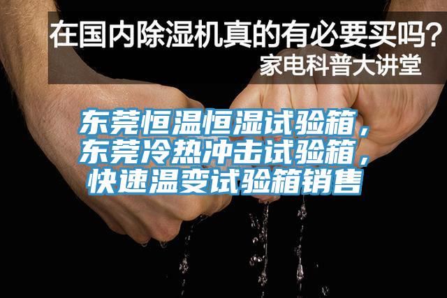 东莞恒温恒湿试验箱，东莞冷热冲击试验箱，快速温变试验箱销售
