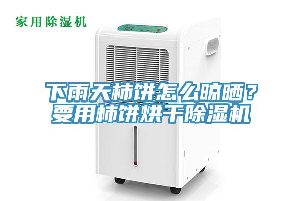 下雨天柿饼怎么晾晒？要用柿饼烘干免费看操逼软件