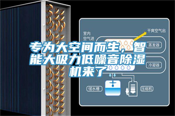 专为大空间而生，智能大吸力低噪音免费看操逼软件来了
