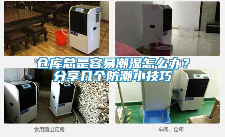 仓库总是容易潮湿怎么办？分享几个防潮小技巧