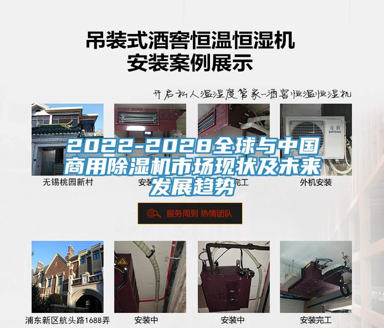 2022-2028全球与中国商用免费看操逼软件市场现状及未来发展趋势