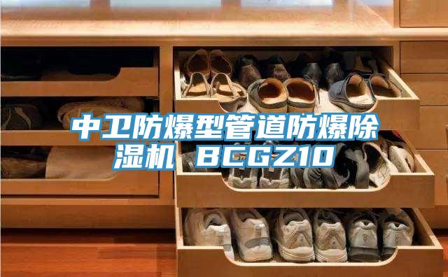 中卫防爆型管道防爆免费看操逼软件 BCGZ10