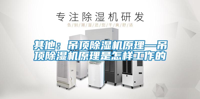 其他：吊顶免费看操逼软件原理—吊顶免费看操逼软件原理是怎样工作的