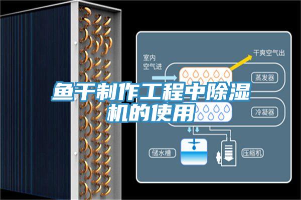 鱼干制作工程中免费看操逼软件的使用