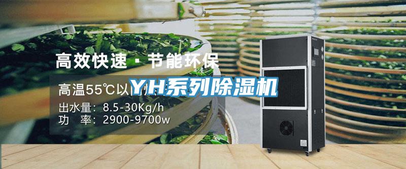 YH系列免费看操逼软件