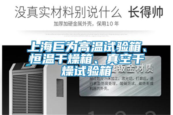 上海巨为高温试验箱、恒温干燥箱、真空干燥试验箱