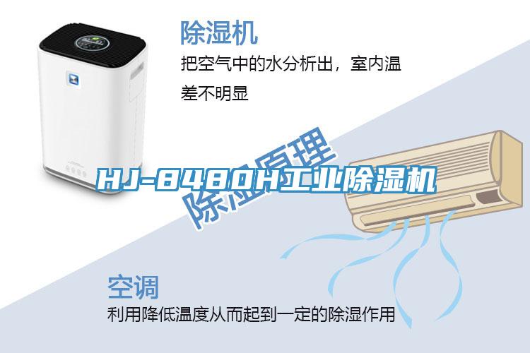 HJ-8480H工业免费看操逼软件