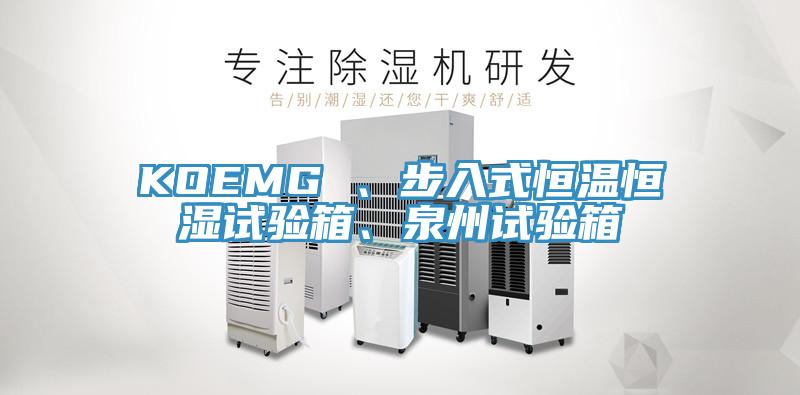 KOEMG 、步入式恒温恒湿试验箱、泉州试验箱