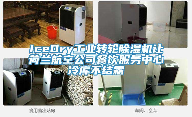 IceDry工业转轮免费看操逼软件让荷兰航空公司餐饮服务中心冷库不结霜