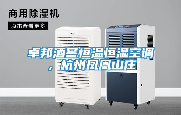 卓邦酒窖恒温恒湿空调，杭州凤凰山庄