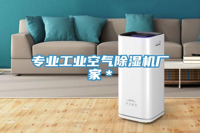 专业工业空气免费看操逼软件厂家＊