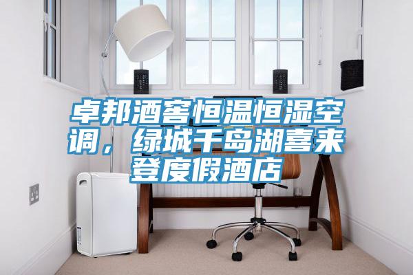 卓邦酒窖恒温恒湿空调，绿城千岛湖喜来登度假酒店