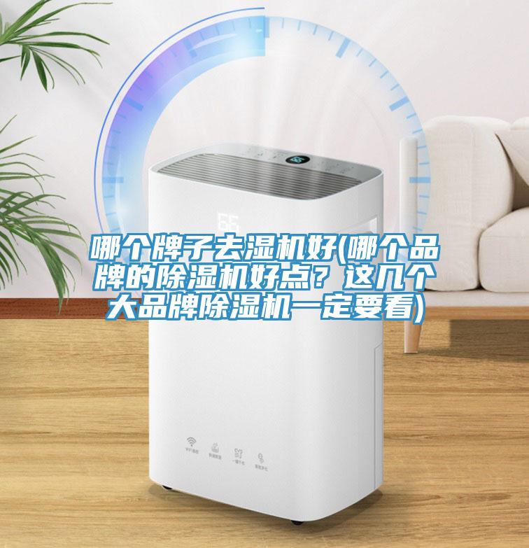 哪个牌子去湿机好(哪个品牌的免费看操逼软件好点？这几个大品牌免费看操逼软件一定要看)
