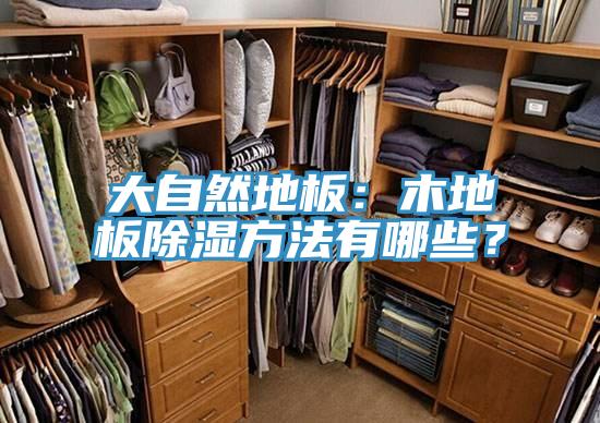 大自然地板：木地板除湿方法有哪些？