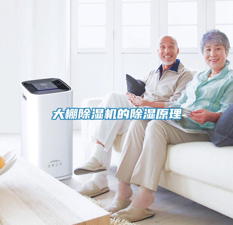 大棚免费看操逼软件的除湿原理