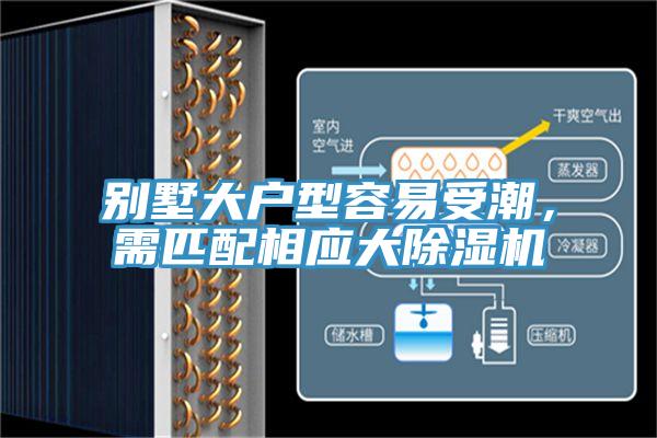 别墅大户型容易受潮，需匹配相应大免费看操逼软件