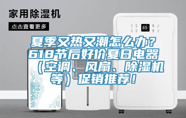 夏季又热又潮怎么办？618节后好价夏日电器（空调、风扇、免费看操逼软件等）促销推荐！