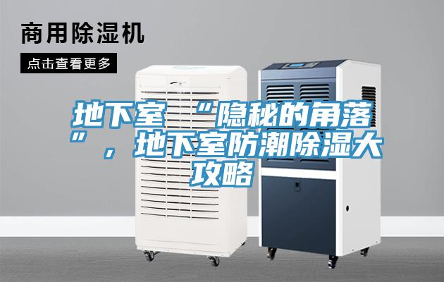 地下室≠“隐秘的角落”，地下室防潮除湿大攻略