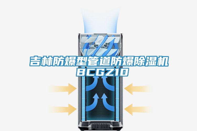 吉林防爆型管道防爆免费看操逼软件 BCGZ10