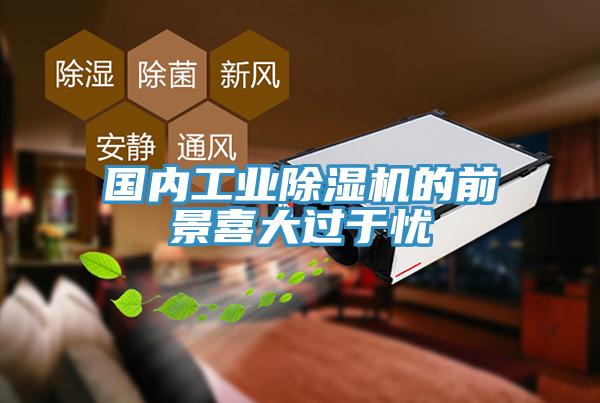 国内工业免费看操逼软件的前景喜大过于忧