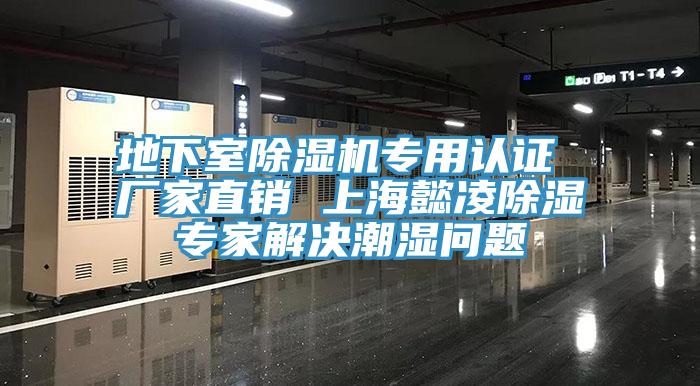 地下室免费看操逼软件专用认证 厂家直销 上海懿凌除湿专家解决潮湿问题