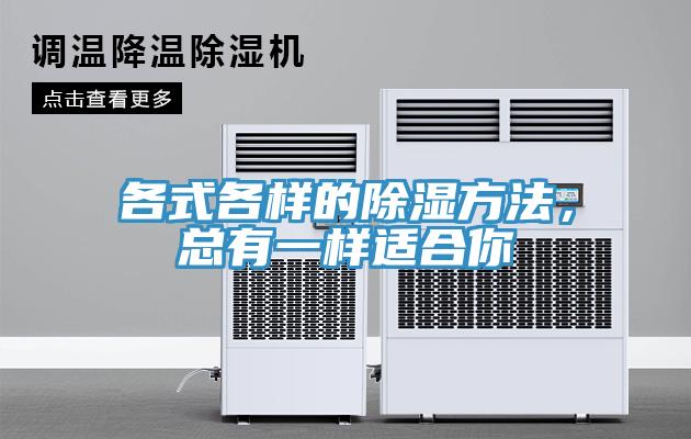 各式各样的除湿方法，总有一样适合你