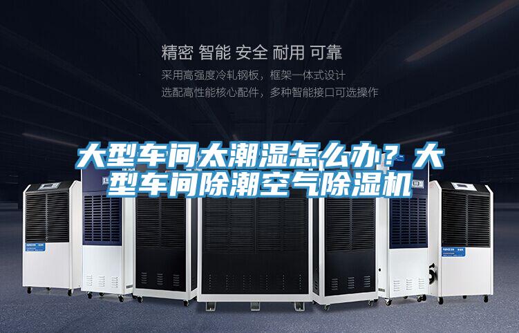 大型车间太潮湿怎么办？大型车间除潮空气免费看操逼软件