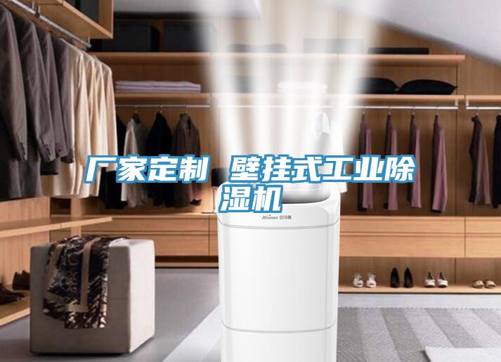 厂家定制 壁挂式工业免费看操逼软件
