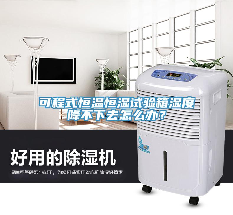 可程式恒温恒湿试验箱湿度降不下去怎么办？