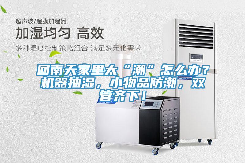 回南天家里太“潮”怎么办？机器抽湿，小物品防潮，双管齐下！
