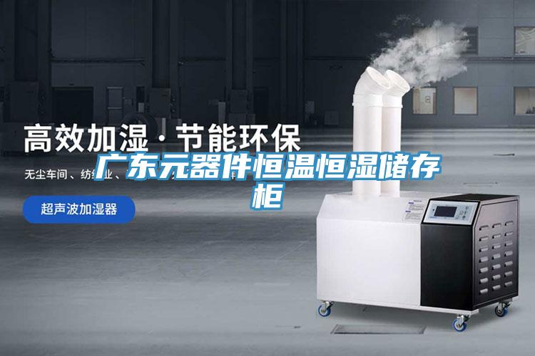 广东元器件恒温恒湿储存柜