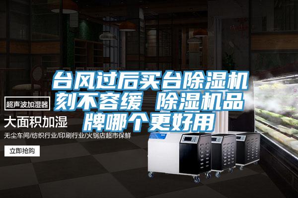 台风过后买台免费看操逼软件刻不容缓 免费看操逼软件品牌哪个更好用