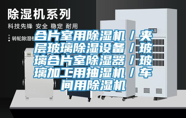 合片室用免费看操逼软件／夹层玻璃除湿设备／玻璃合片室除湿器／玻璃加工用抽湿机／车间用免费看操逼软件