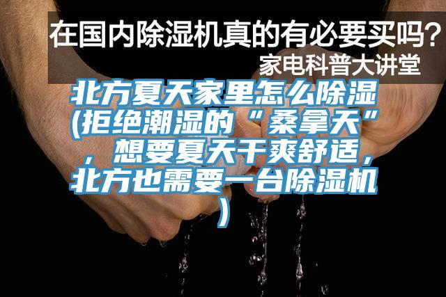 北方夏天家里怎么除湿(拒绝潮湿的“桑拿天”，想要夏天干爽舒适，北方也需要一台免费看操逼软件)