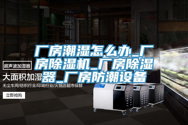 厂房潮湿怎么办_厂房免费看操逼软件_厂房除湿器_厂房防潮设备