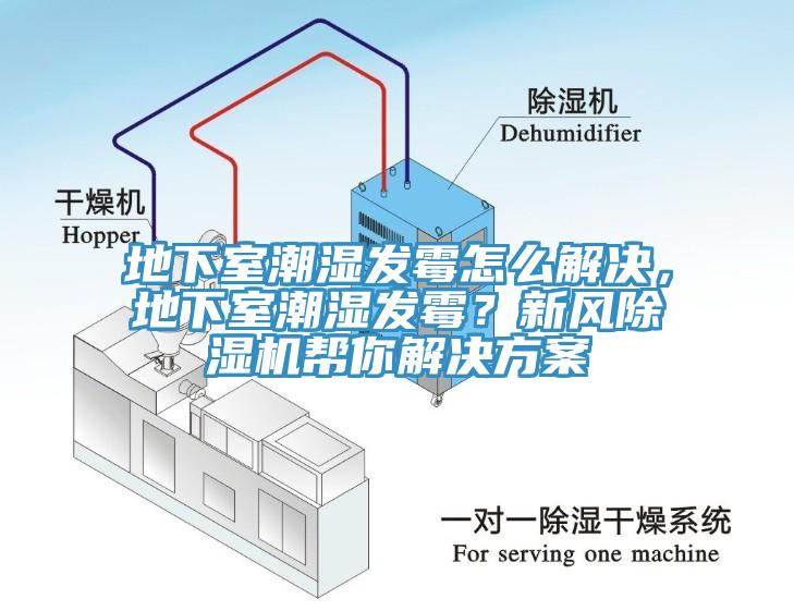 地下室潮湿发霉怎么解决，地下室潮湿发霉？新风免费看操逼软件帮你解决方案