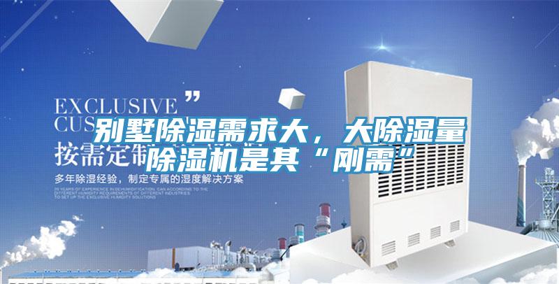 别墅除湿需求大，大除湿量免费看操逼软件是其“刚需”
