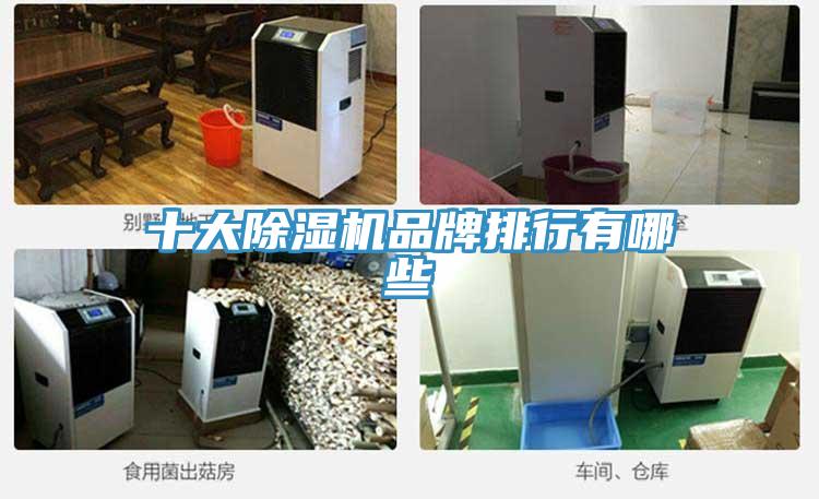 十大免费看操逼软件品牌排行有哪些