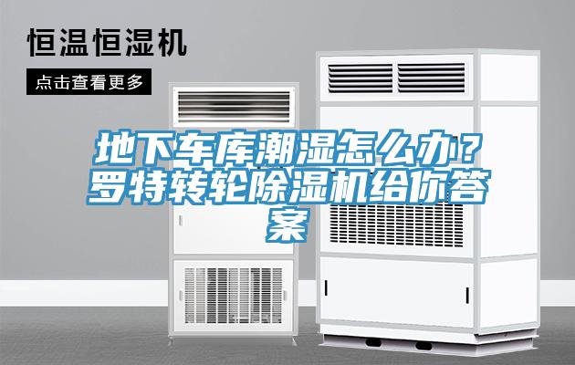 地下车库潮湿怎么办？罗特转轮免费看操逼软件给你答案